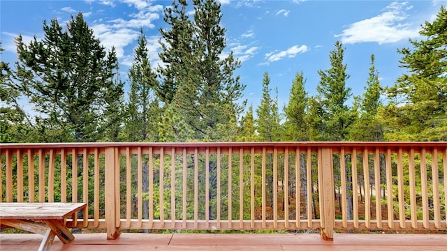 274 Lincoln Dr, Idaho Springs, CO 80452 - photo 22