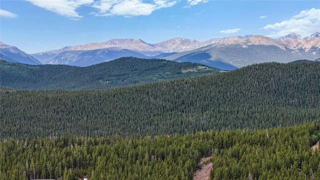274 Lincoln Dr, Idaho Springs, CO 80452 - photo 8