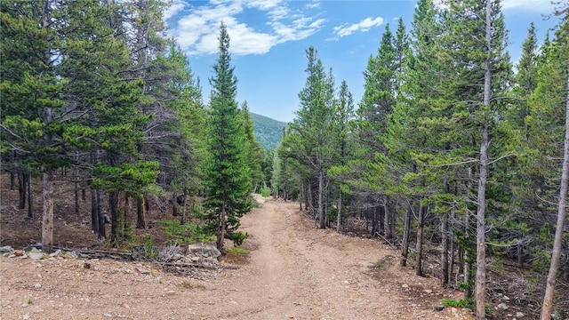 274 Lincoln Dr, Idaho Springs, CO 80452 - photo 5