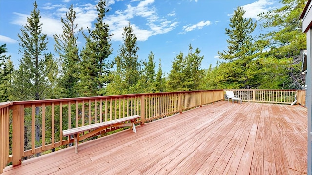 274 Lincoln Dr, Idaho Springs, CO 80452 - photo 21