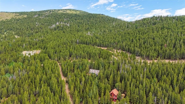 274 Lincoln Dr, Idaho Springs, CO 80452 - photo 11
