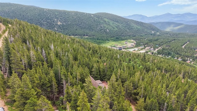 274 Lincoln Dr, Idaho Springs, CO 80452 - photo 4