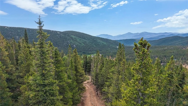 274 Lincoln Dr, Idaho Springs, CO 80452 - photo 6