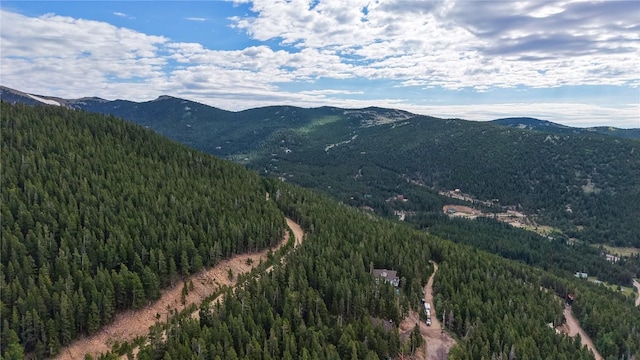 274 Lincoln Dr, Idaho Springs, CO 80452 - photo 9