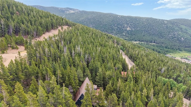 274 Lincoln Dr, Idaho Springs, CO 80452 - photo 3