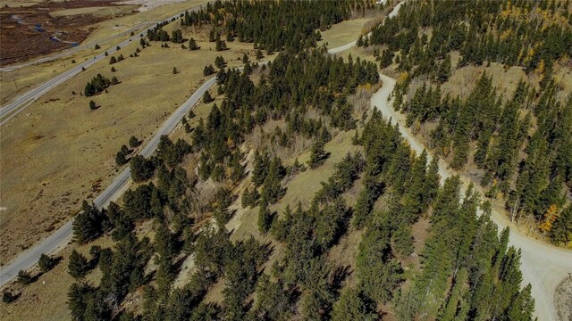 425 Platte River Dr, Fairplay, CO 80440 - photo 29