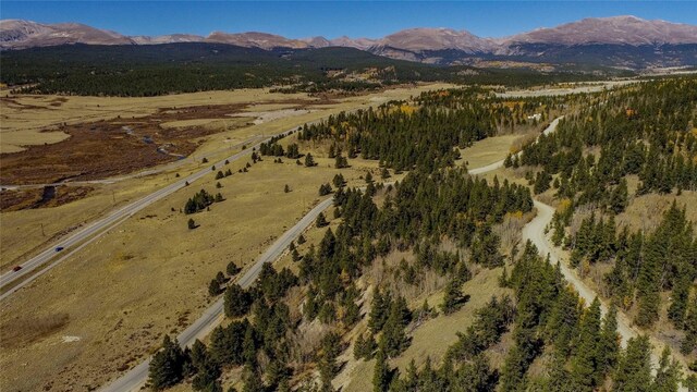 425 Platte River Dr, Fairplay, CO 80440 - photo 26