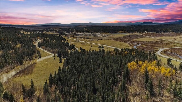 425 Platte River Dr, Fairplay, CO 80440 - photo 1
