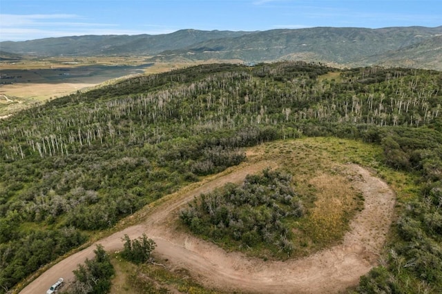 27300 Sundance Trl, Steamboat Springs, CO 80487 - photo 3