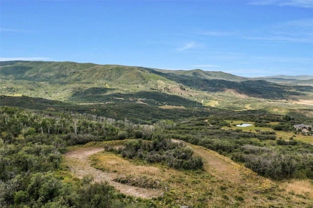 27300 Sundance Trl, Steamboat Springs, CO 80487 - photo 6