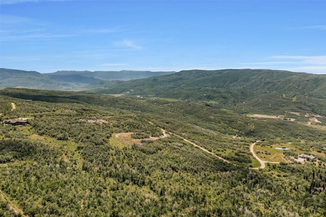 27300 Sundance Trl, Steamboat Springs, CO 80487 - photo 14