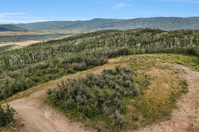 27300 Sundance Trl, Steamboat Springs, CO 80487 - photo 11
