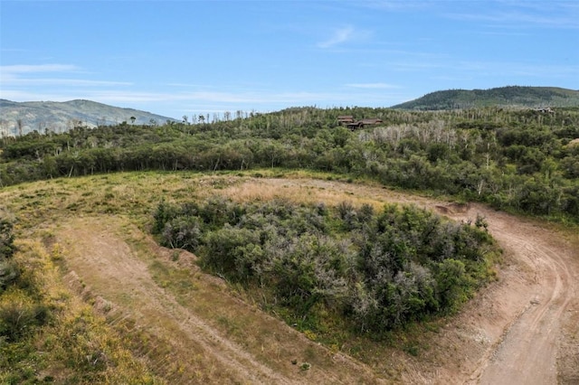 27300 Sundance Trl, Steamboat Springs, CO 80487 - photo 4