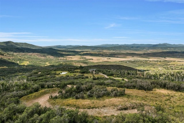 27300 Sundance Trl, Steamboat Springs, CO 80487 - photo 7
