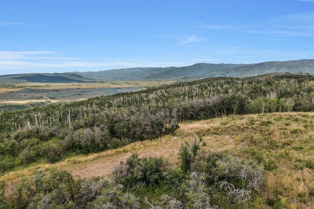 27300 Sundance Trl, Steamboat Springs, CO 80487 - photo 12