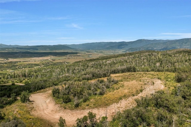 27300 Sundance Trl, Steamboat Springs, CO 80487 - photo 5