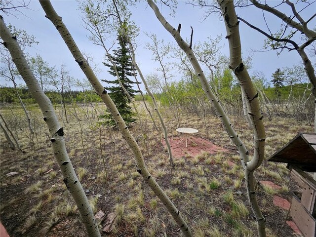 631 Arrowhead Dr, Como, CO 80456 - view of local wilderness