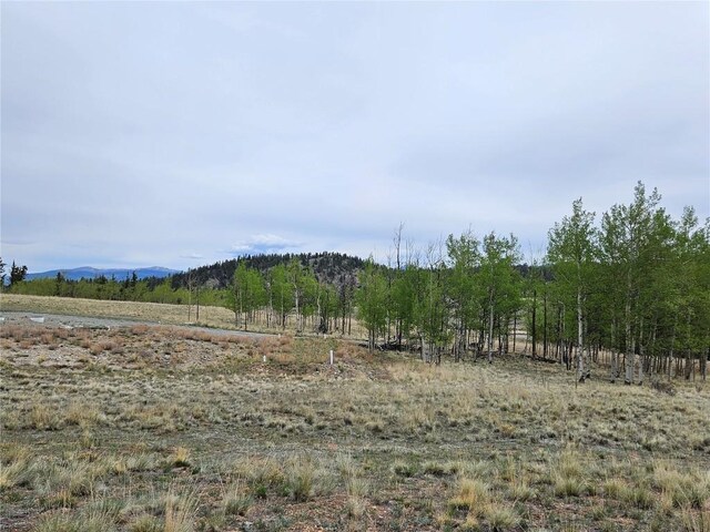 631 Arrowhead Dr, Como, CO 80456 - view of local wilderness with rural landscape