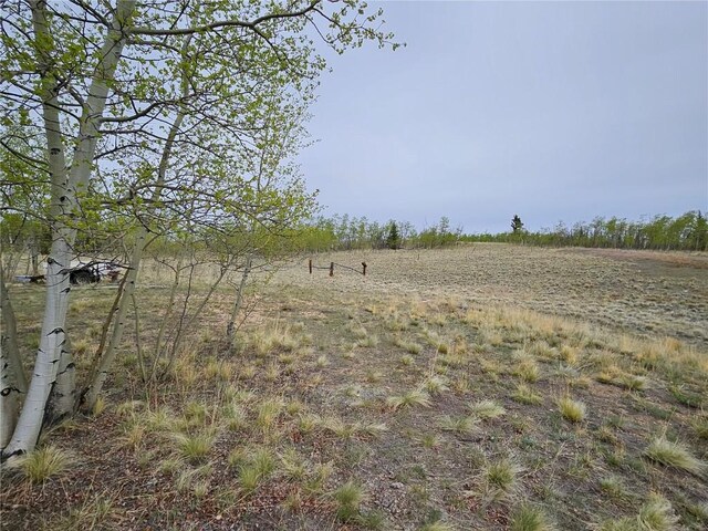 631 Arrowhead Dr, Como, CO 80456 - view of yard with a view of rural / pastoral area