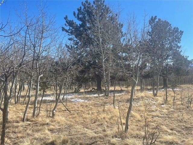 560 Raven Way, Como, CO 80432