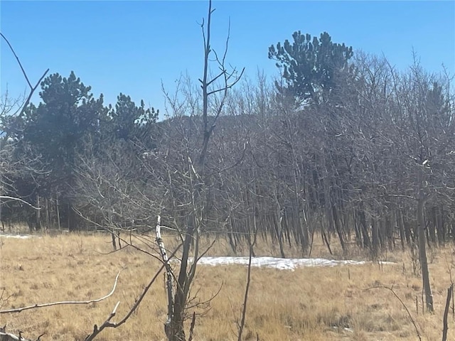 560 Raven Way, Como, CO 80432