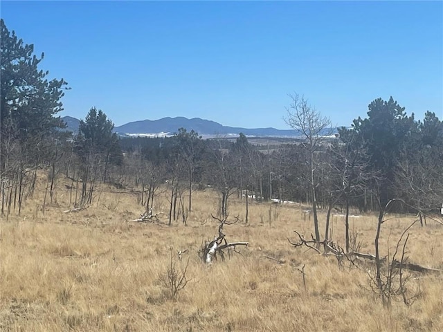 560 Raven Way, Como, CO 80432