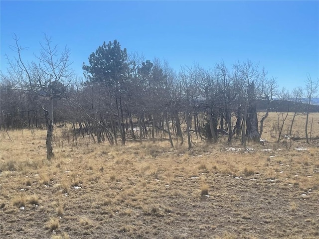 560 Raven Way, Como, CO 80432