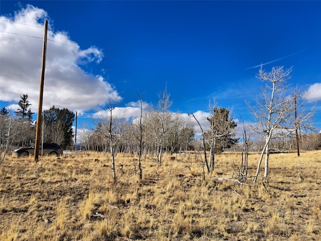 560 Raven Way, Como, CO 80432