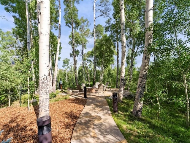 37 Glazer Trl, Silverthorne, CO 80498 - photo 37