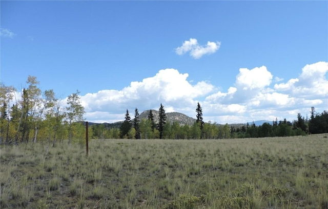 view of nature featuring a rural view and a mountain view