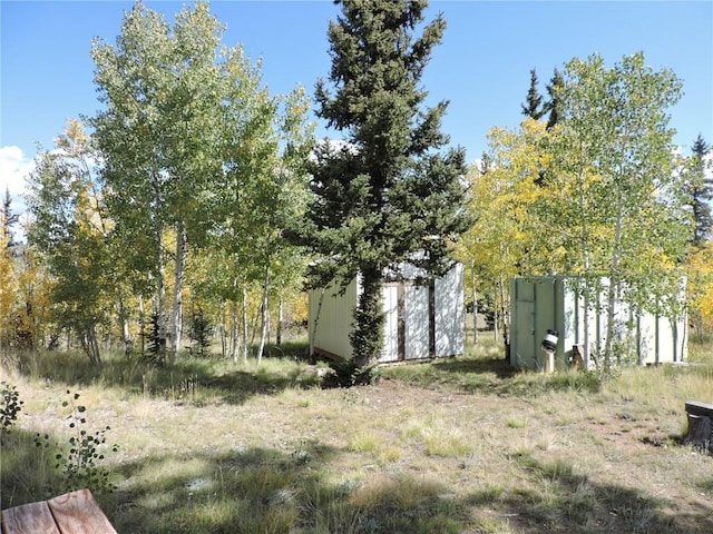 view of yard featuring an outdoor structure and a storage unit
