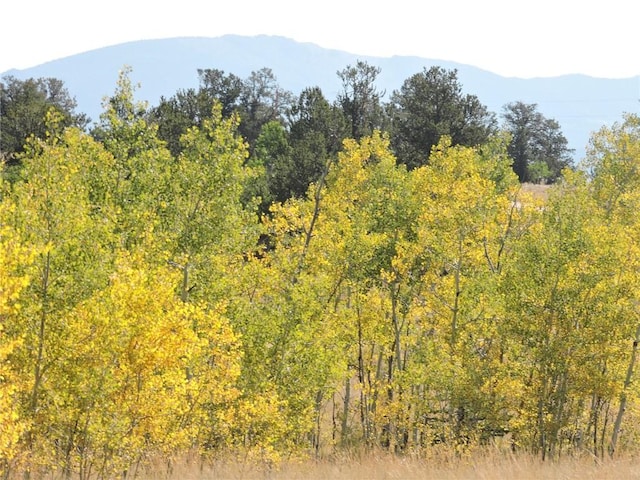 property view of mountains with a view of trees
