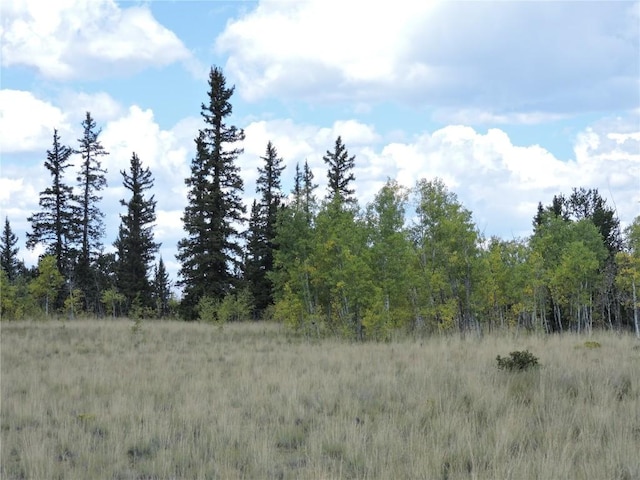 view of local wilderness featuring a wooded view