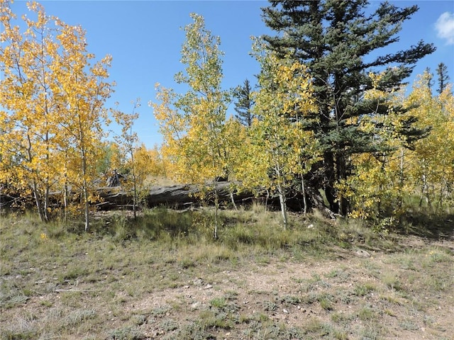 16 Buckshot Trl, Como, CO 80432 - photo 40