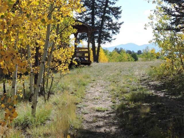 view of yard with a mountain view