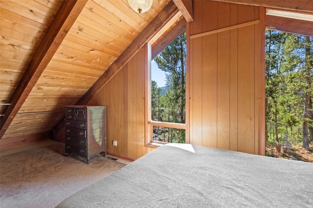 128 Royal Tiger Rd, Breckenridge, CO 80424 - photo 31