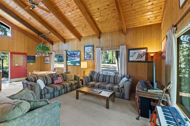 128 Royal Tiger Rd, Breckenridge, CO 80424 - photo 13