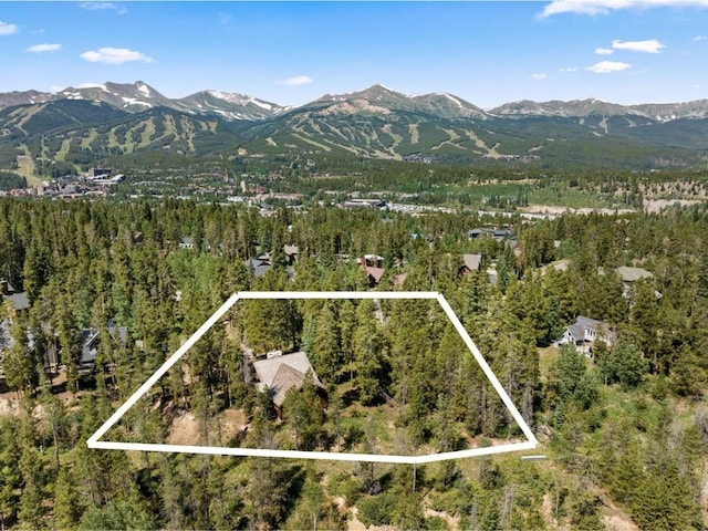 128 Royal Tiger Rd, Breckenridge, CO 80424 - photo 3
