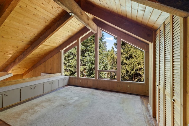 128 Royal Tiger Rd, Breckenridge, CO 80424 - photo 33