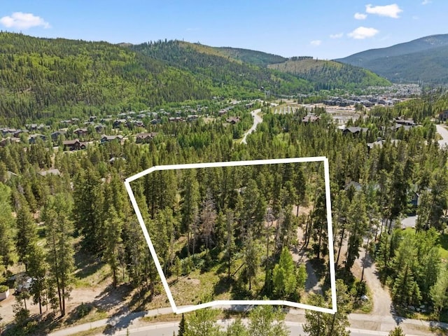128 Royal Tiger Rd, Breckenridge, CO 80424 - photo 36