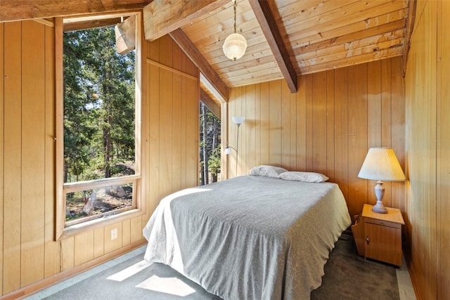 128 Royal Tiger Rd, Breckenridge, CO 80424 - photo 30