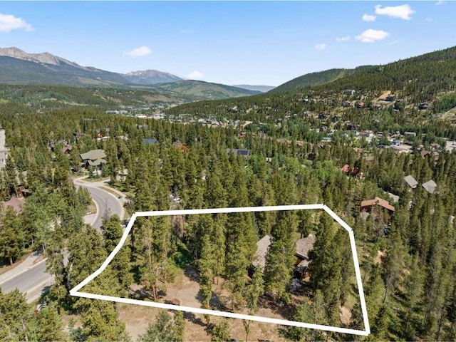 128 Royal Tiger Rd, Breckenridge, CO 80424 - photo 5