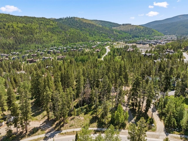 128 Royal Tiger Rd, Breckenridge, CO 80424 - photo 38