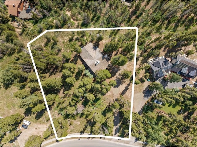 128 Royal Tiger Rd, Breckenridge, CO 80424 - photo 1