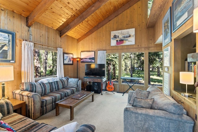 128 Royal Tiger Rd, Breckenridge, CO 80424 - photo 4