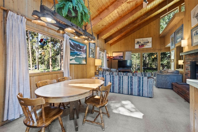 128 Royal Tiger Rd, Breckenridge, CO 80424 - photo 16