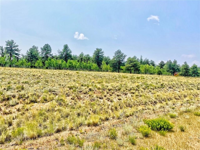 887 Superstition Trl, Hartsel, CO 80449 - photo 9