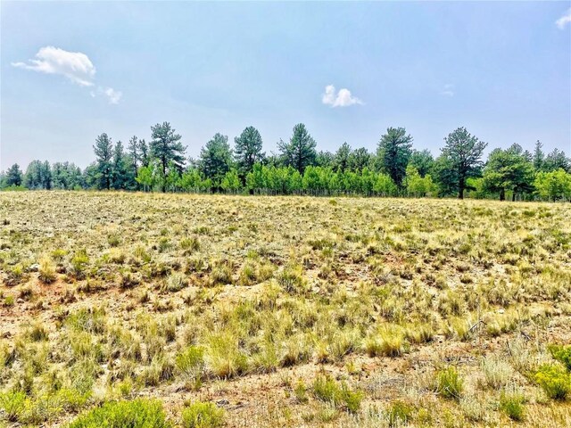 887 Superstition Trl, Hartsel, CO 80449 - photo 8