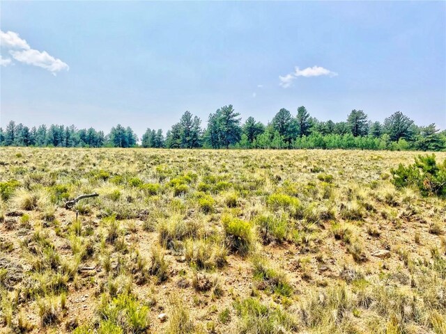 887 Superstition Trl, Hartsel, CO 80449 - photo 6