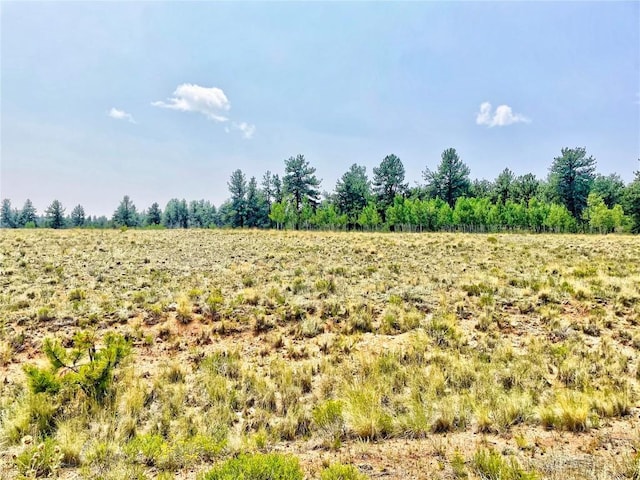 887 Superstition Trl, Hartsel, CO 80449 - photo 10